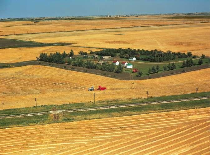 آشنایی با کشاورزی در کانادا