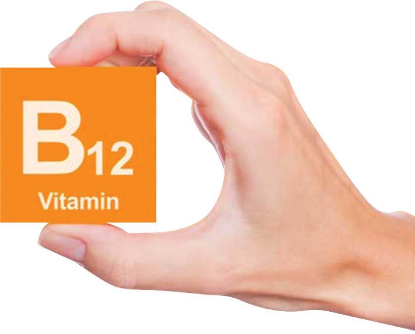 با منابع ویتامین B12 آشنا شوید