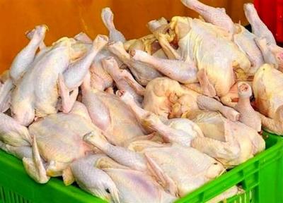 استمرار ثبات قیمت مرغ در بازار شب یلدا