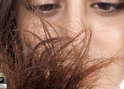 آموزش 16 ماسک موی طبیعی برای موهای آسیب دیده و خشک