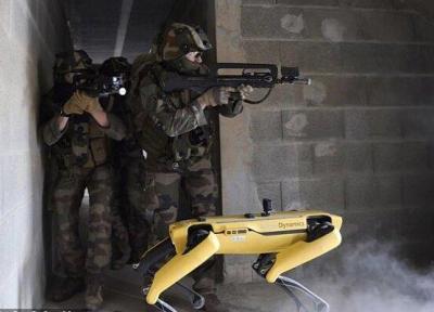 پای سگ های رباتیک به ارتش فرانسه باز شد